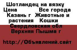 Шотландец на вязку › Цена ­ 1 000 - Все города, Казань г. Животные и растения » Кошки   . Свердловская обл.,Верхняя Пышма г.